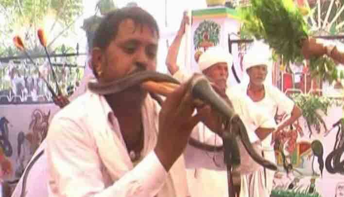 मेले में पूरा गांव सर्प देवता यानी तेजाजी से आशार्वाद लेता है और फिर काले जहरीले नाग को पूजा-पाठ के साथ छोड़ दिया जाता है. गांववाले दावा करते हैं कि सांप तो दूर किसी जहरीले कीड़े के काटने का मामला भी पिछले 15 साल में सामने नहीं आया है. गांव के लोग इसे चमत्कार कहते हैं.
