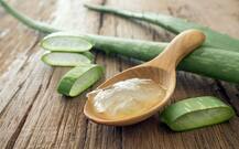 इन लोगों को नहीं करना चाहिए एलोवेरा का सेवन, हो सकता है नुकसान