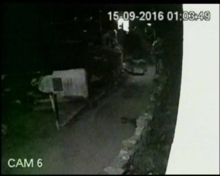 शेरों की गांव में घुसने की तस्वीरें सीसीटीवी में कैद हो गईं.