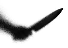 पाकिस्तानी \'लिव-इन\' पार्टनर ने की भारतीय गर्लफ्रेंड की हत्या, शक में मार डाला