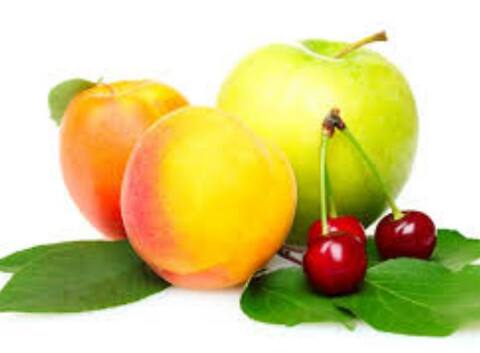 ये जूस पीएंगे तो चिकनगुनिया में जोड़ों के दर्द से मिलेगी राहत! 