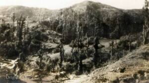 Martyr Major Ranbir Singh 3