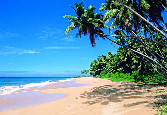 मन को सुकुन देना है तो भारत में मौजूद इन जगहों पर जरूर जाएं! 