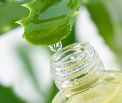 जोड़ों के दर्द से लेकर गैस की समस्या तक से छुटकारा दिला सकता है ये एलोवेरा जूस!  