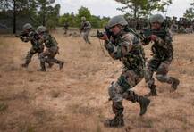 सर्जिकल स्ट्राइक पर खेल जगत की दिग्गज हस्तियों ने किया सेना को सलाम  