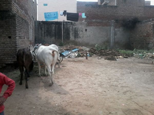 किसी समय इस गांधी पार्क पर भूमाफिओं का कब्जा था. पर प्रशासन ने इस जमीन पर भूमाफिओं का कब्जा हटवा कर गांधी पार्क की स्थापना की. जिसका शिलान्यास निर्वतमान जिलाधिकारी शशि प्रकाश गोयल ने किया था.