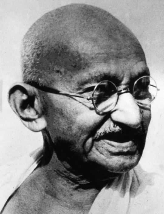 इस पार्क को सौंदर्यीकरण और स्वच्छ रखने के लिये पेड़ पोधे और घास लगाई गई थी. पर नगर पंचायत और अन्य सरकारी विभागों की लापरवाही ने इस गांधी पार्क को बदहाल हालत में लाकर खड़ा कर दिया.