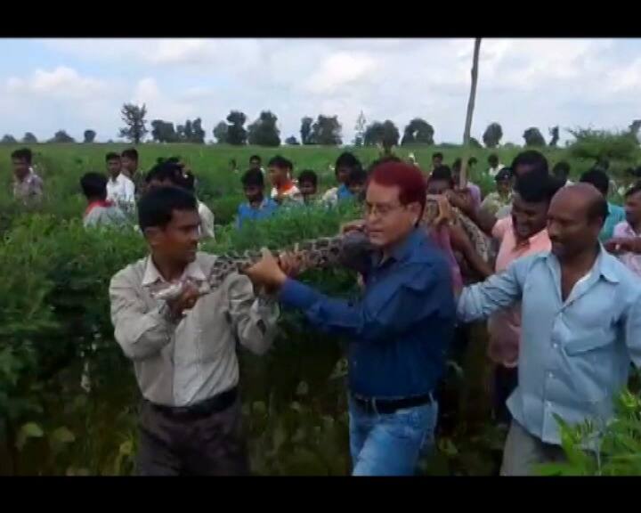 अजगर को देखने के लिए भारी भीड़ जुट गई.