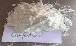 उड़ता राजस्थान! नशे और तस्करी की गिरफ्त में राजधानी जयपुर के युवा