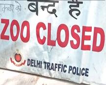 बर्ड फ्लू: दिल्ली-ग्वालियर में चिड़ियाघर बंद, पंजाब में भी मिले संदिग्ध मामले