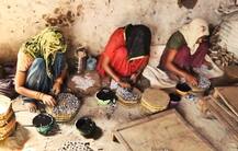 शिवकाशी से ABP न्यूज़ की पड़ताल, ‘बारूद’ की ढेर पर बैठा देश का बड़ा शहर!