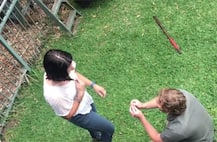 OMG! जब मगरमच्छ के सामने गर्लफ्रेंड को प्रपोज किया इस जू कीपर ने!