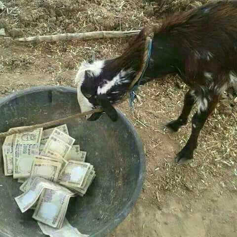 500-1000 रुपये के नोटों की ऐसी दुर्गति होगी ये किसने सोचा होगा?