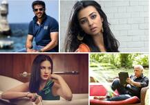 ट्रंप की जीत पर बॉलीवुड हैरान! जानें, किसने क्या कहा?