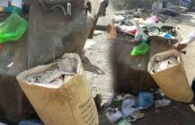 नोटबंदी का असरः कूडे में पड़े मिले 52,000 रुपये, सब 1000 रुपये के नोट !