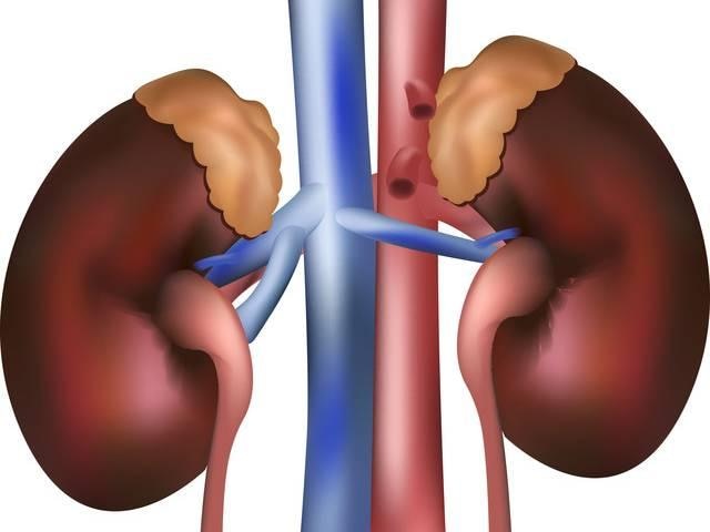 Kidney problem: 'Silent killer' could be a kidney disease, do not ignore these symptoms Kidney Problems: Do Not Ignore These Early Symptoms Of 'Silent Killer'