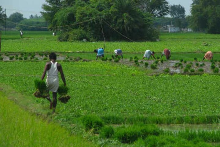 India: 16 million 'poor quality' jobs created in July in agriculture and construction sector, 32 lakh salaried jobs decreased - report भारत: जुलाई में एग्रीकल्चर और कंस्ट्रक्शन सेक्टर में बढ़े खराब क्वालिटी वाले रोजगार, 32 लाख सैलरीड जॉब्स घटी -रिपोर्ट