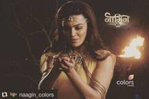 अपने रिसेंट फोटोशूट में आशका लग रही हैं बेहद खूबसूरत