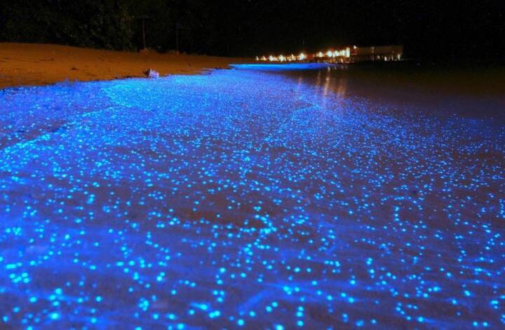 Maldives Beach: इस बीच को रात में देखने पर ऐसा लगता है मानों पानी में मोती जल रहे हों.