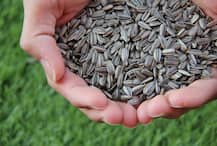 पुराने 500 के नोटों से बीज खरीद सकते हैं किसान: वित्त मंत्रालय