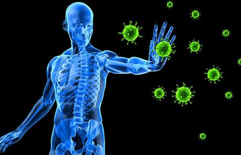 रोजाना पीएंगे कैमोमाइल टी तो होंगे ये फायदे!  