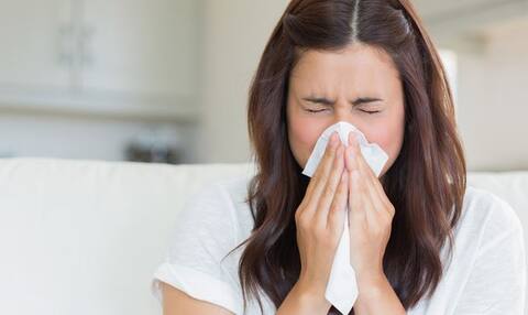 रोजाना पीएंगे कैमोमाइल टी तो होंगे ये फायदे!  