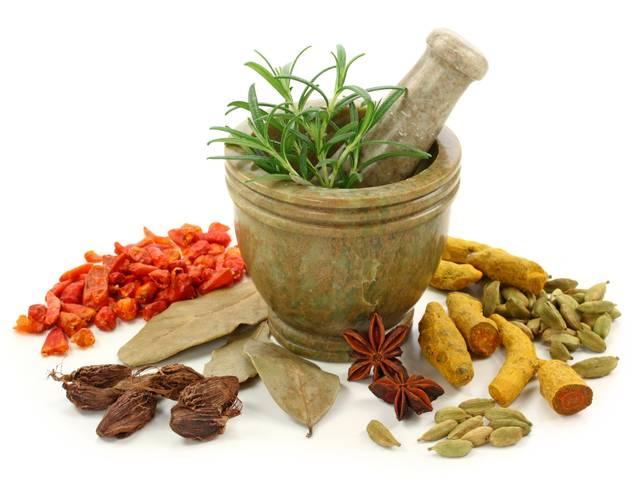 Herbal Extracts: इन आयुर्वेदिक हर्ब से पाएं स्वस्थ और सुंदर शरीर, मिलेंगे गजब के फायदे