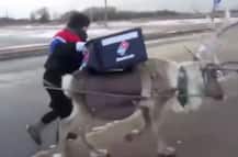 जापान: अब पिज्जा लेकर बारहसिंगा देगा दरवाज़े पर दस्तक!