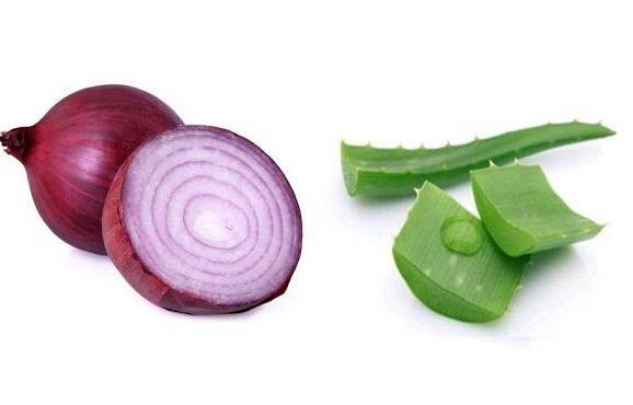  एलोवीरा जेल और प्याज का रस- 3 चम्‍मच प्याज के रस में 2 चम्मच एलोवीरा जेल मिलाएं. इसमें आप 1 चम्मच ऑलिव ऑयल भी मिला सकते हैं. इस मिक्चर को 30 मिनट तक बालों पर लगाएं और फिर शैंपू कर लें. 