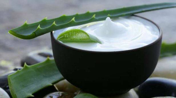 एलोवीरा जेल - एलोवीरा को बालों पर लगाकर बाल झड़ने की समस्या को रोका जा सकता है. आप चाहे तो प्‍याज की तरह ही एलोवीरा जेल को सीधेतौर पर स्कॉल्प पर लगा सकते हैं. कुछ घंटे बालों में लगाकार फिर हल्के गुनगुन पानी में इसे धो लें. एक सप्ता‍ह में तीन से चार बार इसे करें.