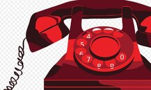 भारत-नेपाल सीमा के पास चल रहा था गैर-कानूनी टेलीफोन बूथ, एक गिरफ्तार