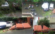 वरदा तूफान: तमिलनाडु-आंध्र के कुछ हिस्सों में मचाई तबाही, 10 की मौत