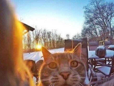 वहीं एक और तस्वीर के बैकग्राउंड में सूरज अपनी चमक बिखेर रहा है.