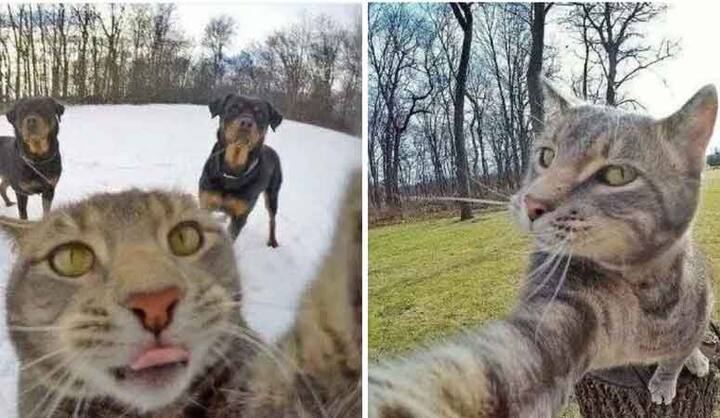 अगर आपको लगता है कि आप सेल्फी की सबसे बड़ी शौकीन हैं तो आपको ये तस्वीरें देखनी चाहिए.