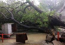 वरदा तूफान: तमिलनाडु ने राहत-पुनर्वास के लिए केंद्र से मांगे 1000 करोड़