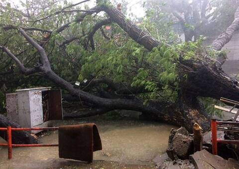 वरदा तूफान: तमिलनाडु ने राहत-पुनर्वास के लिए केंद्र से मांगे 1000 करोड़ वरदा तूफान: तमिलनाडु ने राहत-पुनर्वास के लिए केंद्र से मांगे 1000 करोड़