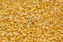 डायजेशन से लेकर पेट की हर समस्या को दूर कर सकती है ये मूंग की दाल! 