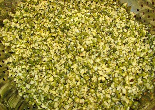 मूंग की दाल की खि‍चड़ी बनाकर खाने से हाजमा बहुत अच्छा रहता है.