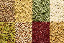 डायजेशन से लेकर पेट की हर समस्या को दूर कर सकती है ये मूंग की दाल! 