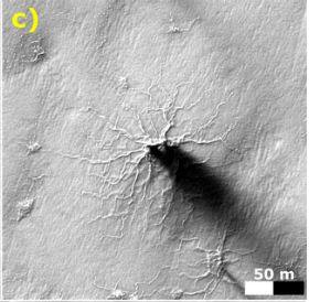 बॉल्डर की ‘कोलोराडो यूनिवर्सिटी’ की रिसर्चर पोर्टयांकीना का कहना है, “हमने ये छोटी सी चीज पहली बार देखी है जिसमें अभी भी जीवन है और साल दर साल फैल भी रही है. इसी तरह एक बड़ी मकड़ी बनती दिखाई दे रही है.”