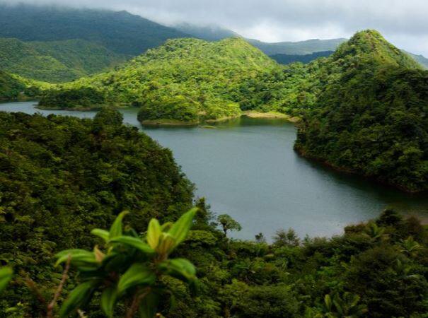 Commonwealth of Dominica में आप एक नहीं दो नहीं बल्कि पूरे 6 महीने तक बिना VISA के रह सकते हैं.