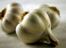 आखिर लहसुन खाते ही क्यों मुंह से आने लगती है बदबू, कारण जान आप भी चौंक जाएंगे!