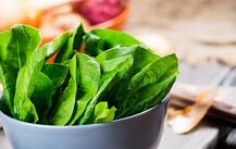 स्पर्म बढ़ाने से लेकर वजन घटाने तक, पालक के हैं कई फायदे!
