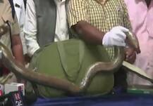 Pics : नोटबंदी के बाद तंत्र-मंत्र का नया टोटका, कालेधन का \'कालसर्प\' योग !