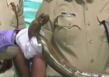 Pics : नोटबंदी के बाद तंत्र-मंत्र का नया टोटका, कालेधन का \'कालसर्प\' योग !