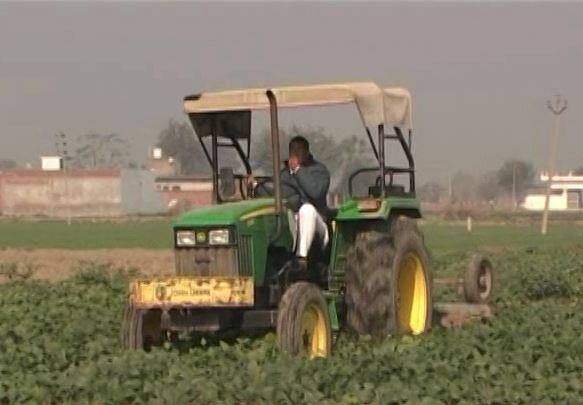 नोटबंदी का साइड इफेक्ट: नाराज़ किसानों ने अपनी खड़ी फसल पर चलाया ट्रैक्टर Farmers Hit As Vegetable Prices Crash Down After Demonetisation नोटबंदी का साइड इफेक्ट: नाराज़ किसानों ने अपनी खड़ी फसल पर चलाया ट्रैक्टर