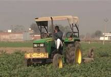 नोटबंदी का साइड इफेक्ट: नाराज़ किसानों ने अपनी खड़ी फसल पर चलाया ट्रैक्टर