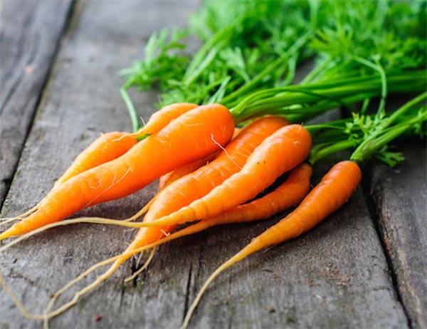 गाजर- सर्दियों में गाजर खूब खाई जाती है लेकिन क्या आप जानते हैं बहुत ज्यादा गाजर खाने से बीटा-कैरोटीन बॉडी बहुत ज्यादा ऑब्जर्व करती है. बहुत ज्यादा अगर गाजर खाई जाए तो स्किन ओरेंज होने लगती है और ब्लड पर इसका पूरा कन्सनट्रेशन चला जाता है जो कि हार्मफुल हो सकता है.