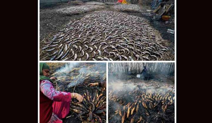 ये तस्वीरें कश्मीर की हैं जहां मछलियां पकाई जा रही हैं.