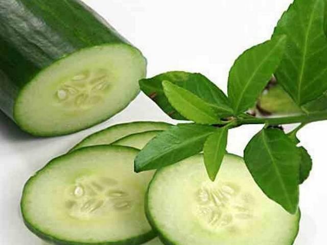 crushed cucumber benefits and different method to use in daily diet Crushed Cucumber: बढ़ जाएगा खीरे का स्वाद और मजेदार लगेगा खाने का तरीका, अपनाएं ये विधि